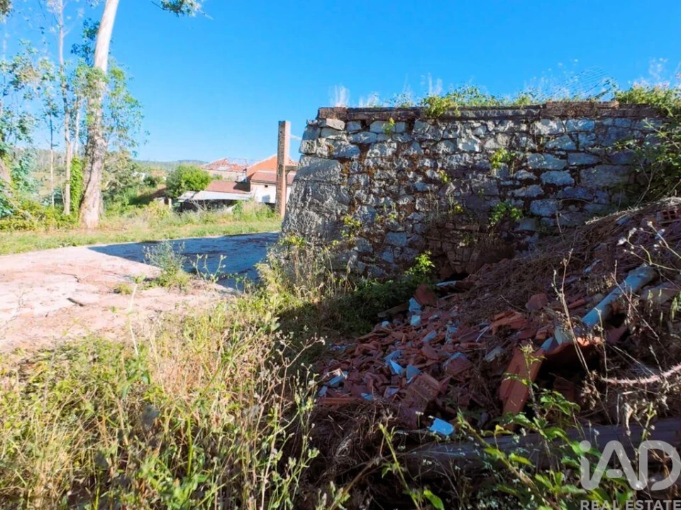 Terreno para Venda em Colmeias e Memória Foto 23
