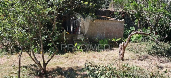 Terreno para Venda em São Mateus