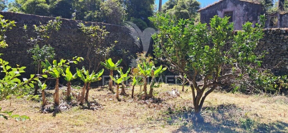 Terreno para Venda em São Mateus Foto 4