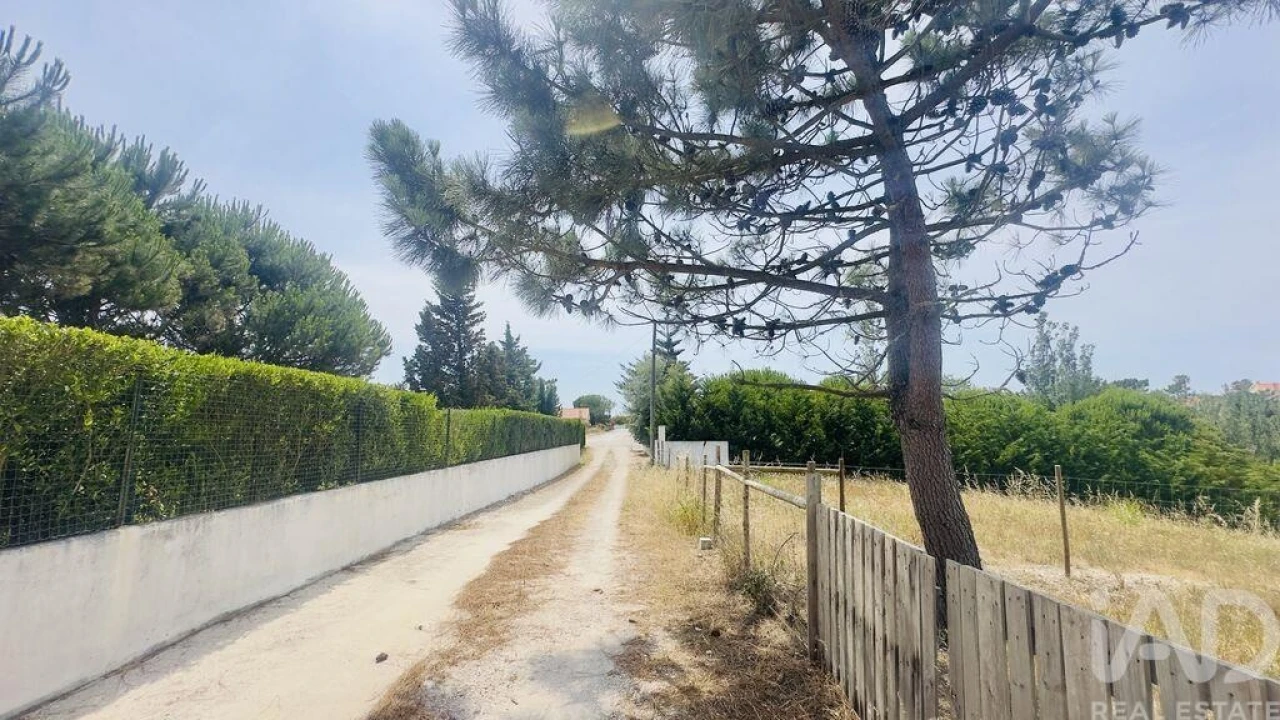 Terreno para Venda em Silveira Foto 4