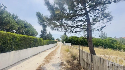 Terreno para Venda em Silveira