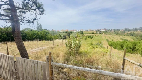 Terreno para Venda em Silveira