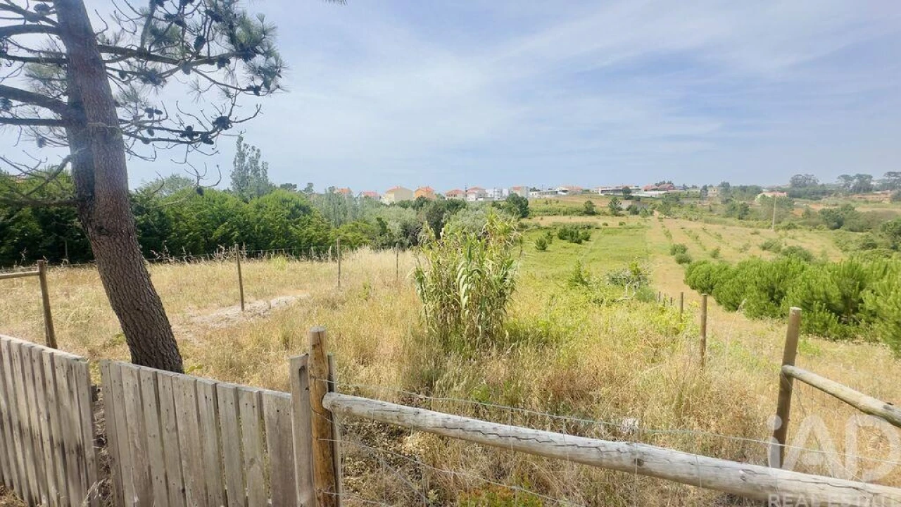 Terreno para Venda em Silveira Foto 3