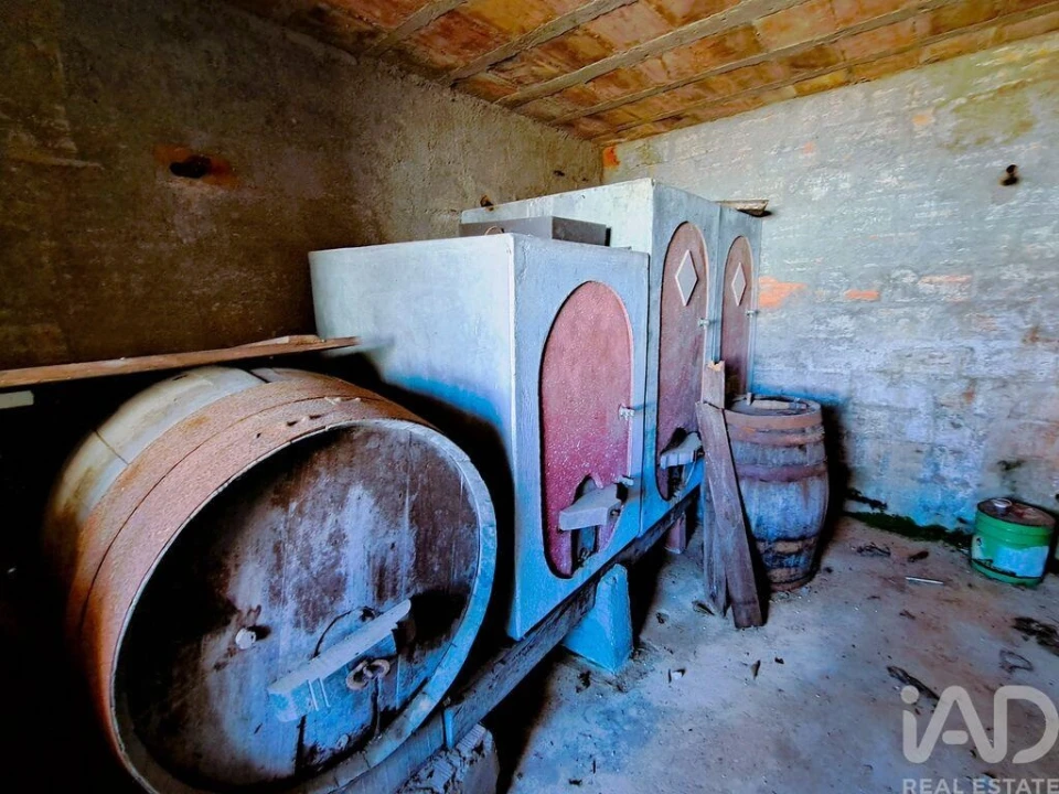 Quinta T6 para Venda em Colmeias e Memória Foto 34