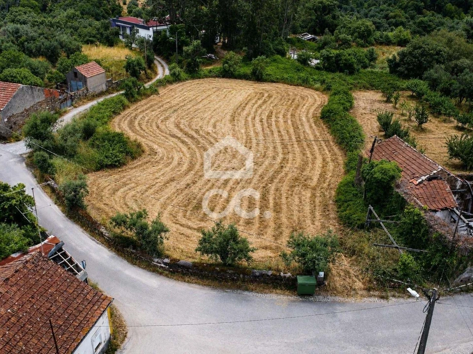 Terreno para Venda em Avelar Foto 1
