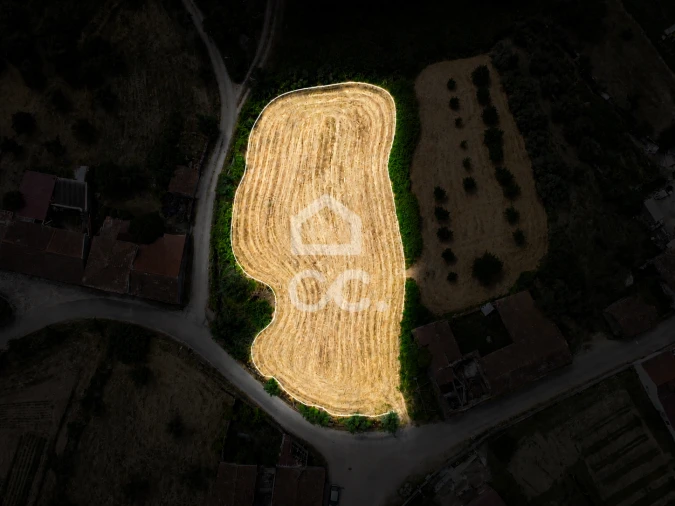 Terreno para Venda em Avelar Foto 6