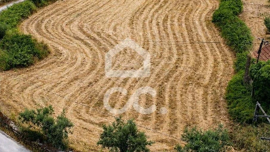 Terreno para Venda em Avelar