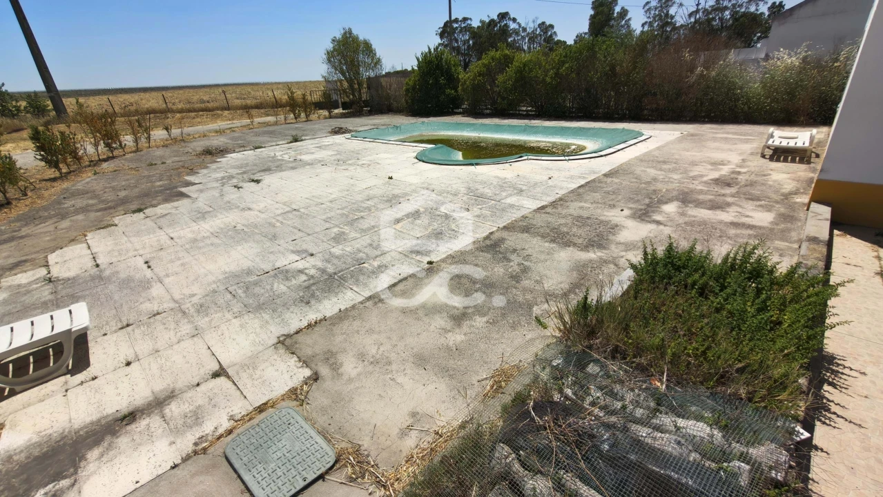 Quinta T8 para Venda em São Matias Foto 49