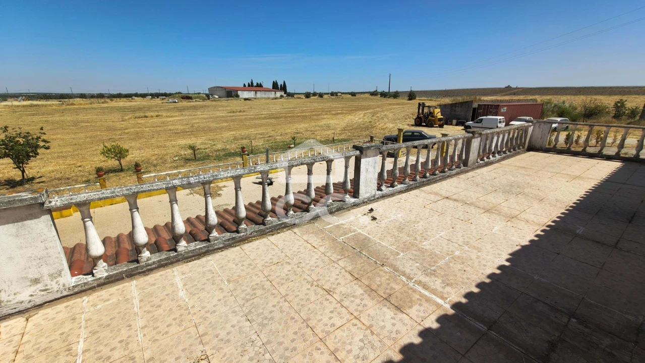 Quinta T8 para Venda em São Matias Foto 37