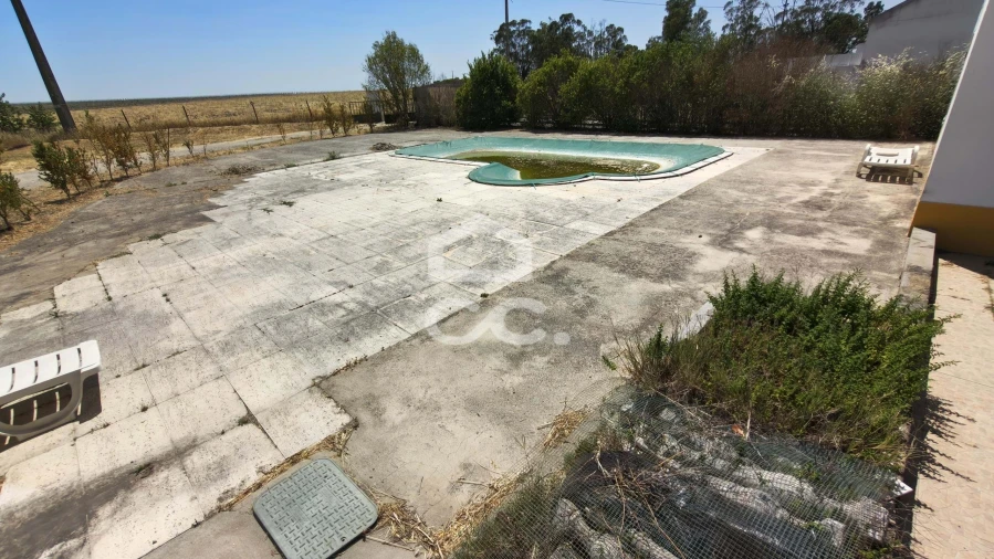 Quinta T8 para Venda em São Matias Foto 49