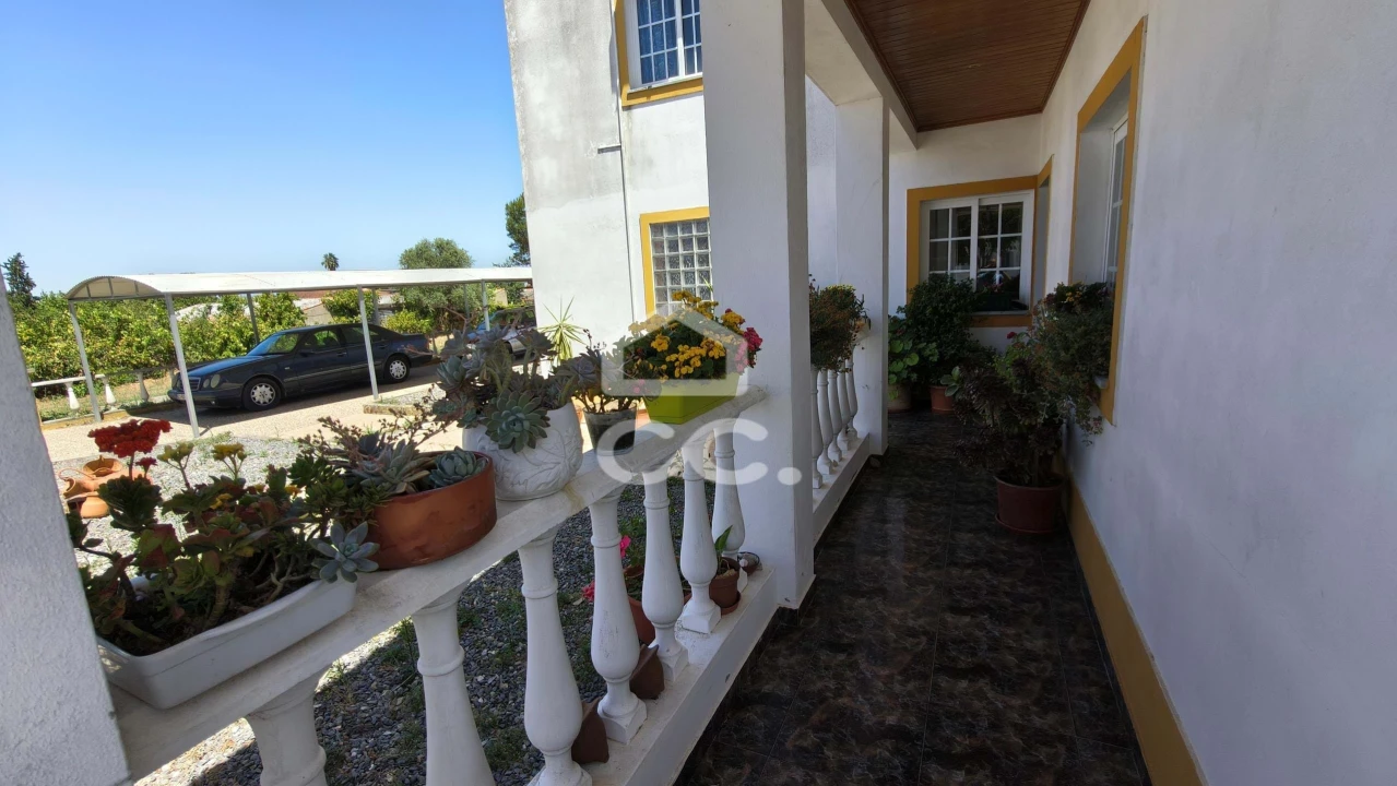 Quinta T8 para Venda em São Matias Foto 7
