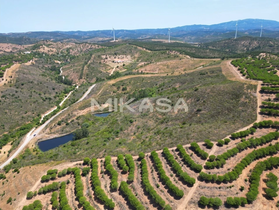 Terreno Agricola ou Rústico para Venda em Lagos (São Sebastião e Santa Maria) Foto 4