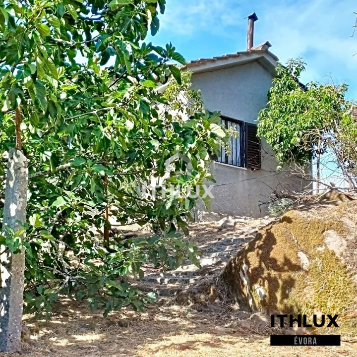 Quinta T2 para Venda em Pinho Foto 6