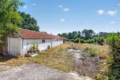 Quinta T3 para Venda em Vale da Pedra