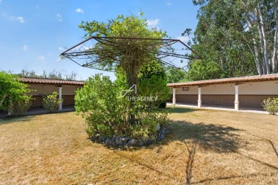 Quinta T3 para Venda em Vale da Pedra