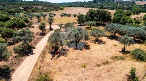 Quinta T2 para Venda em Penamacor