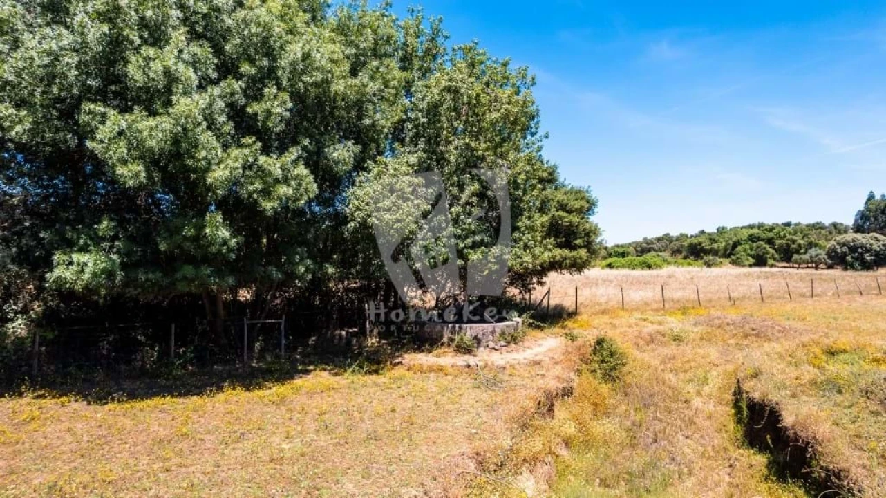 Quinta T2 para Venda em Penamacor Foto 47