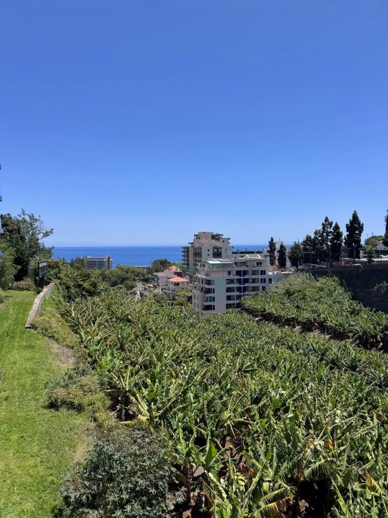 Apartamento T1 para Arrendamento férias em São Martinho Foto 4