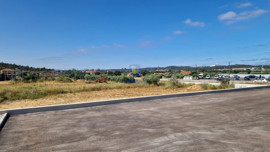 Negócio para Venda em Pelariga Foto 9