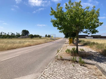 Terreno para Venda em Caldas da Rainha - Santo Onofre e Serra do Bouro