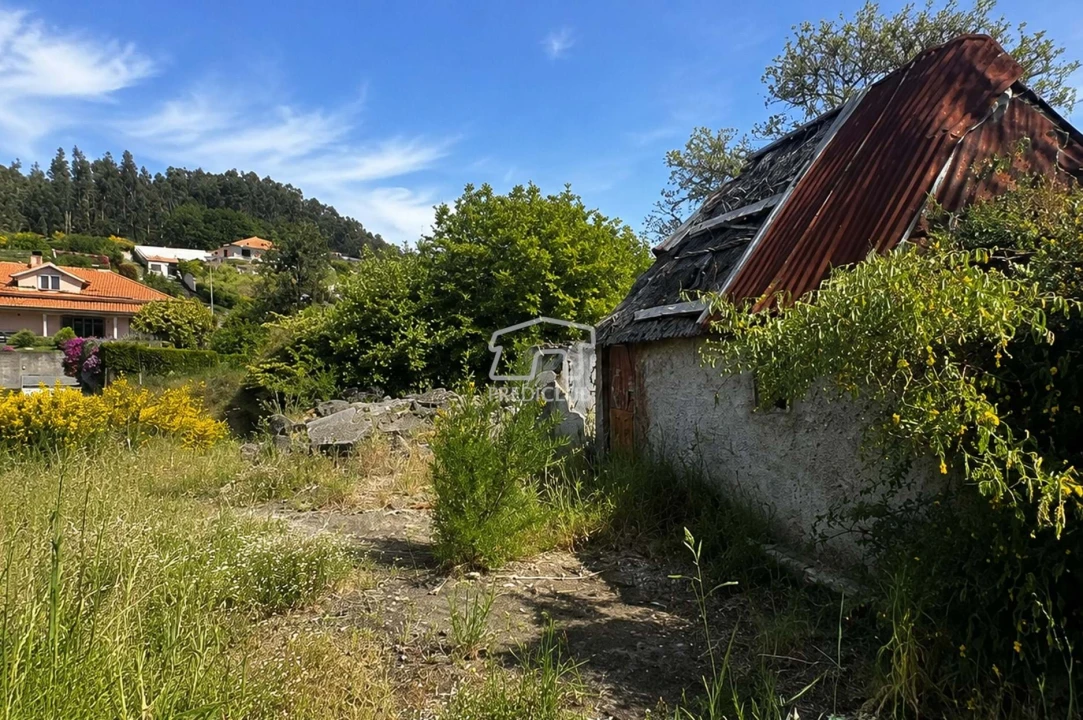 Terreno para Venda em Camacha Foto 4