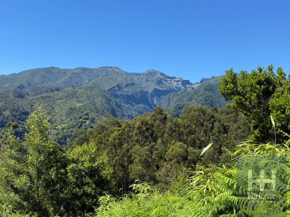 Terreno para Venda em São Jorge Foto 1