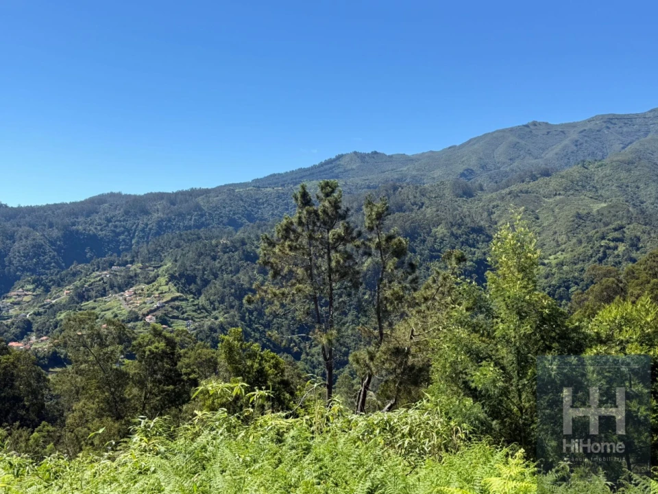 Terreno para Venda em São Jorge Foto 2