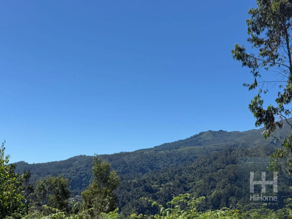 Terreno para Venda em São Jorge Foto 5
