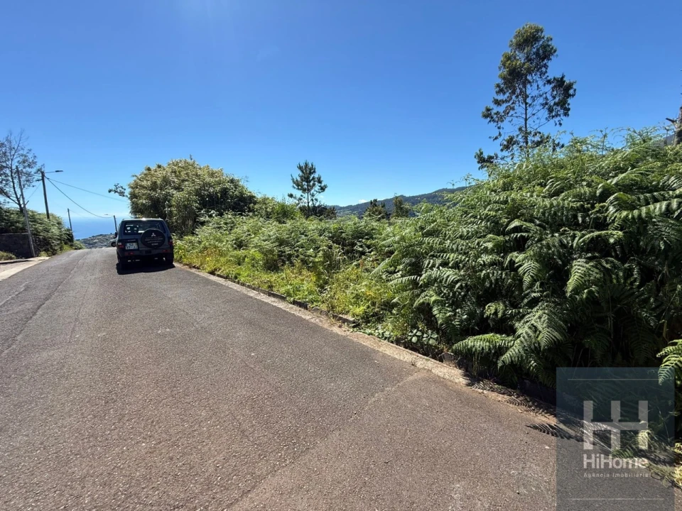 Terreno para Venda em São Jorge Foto 6