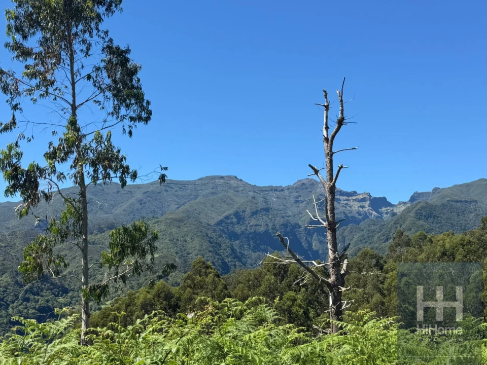 Terreno para Venda em São Jorge Foto 7