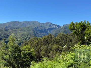 Terreno para Venda em São Jorge