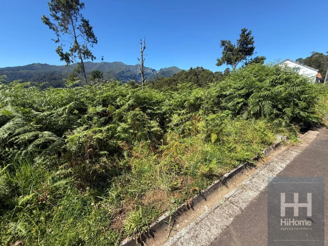 Terreno para Venda em São Jorge Foto 3
