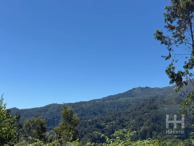 Terreno para Venda em São Jorge Foto 5