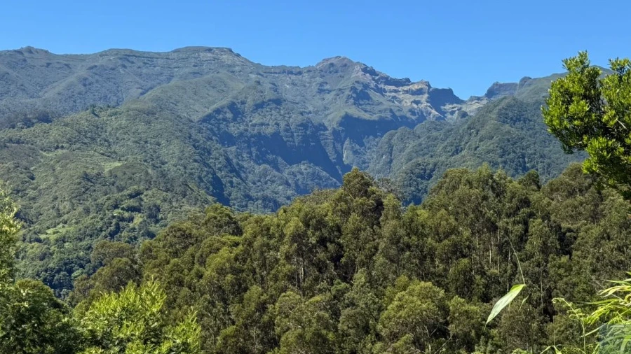 Terreno para Venda em São Jorge