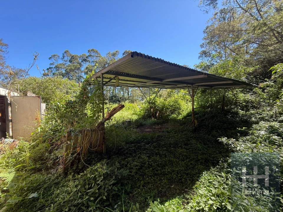 Terreno para Venda em São Jorge Foto 1