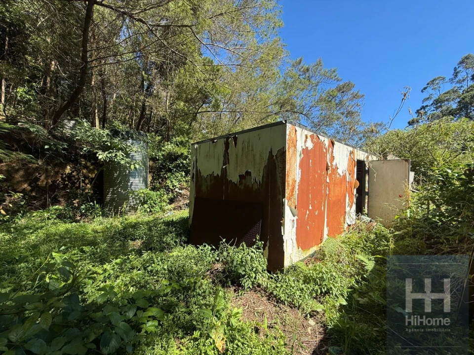 Terreno para Venda em São Jorge Foto 3