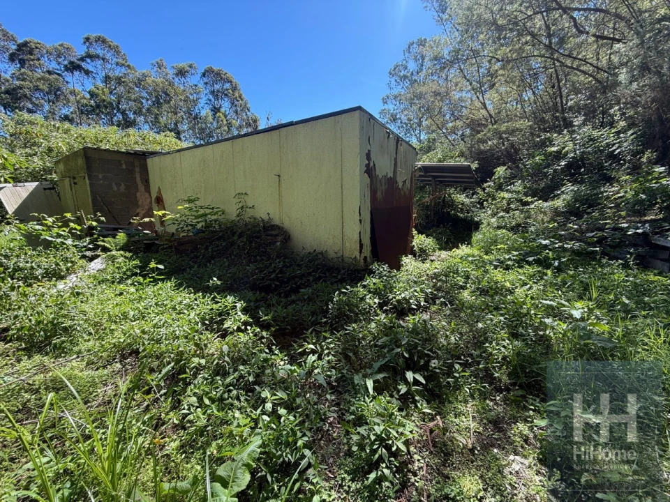 Terreno para Venda em São Jorge Foto 5