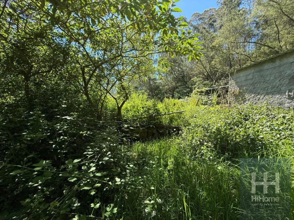 Terreno para Venda em São Jorge Foto 6