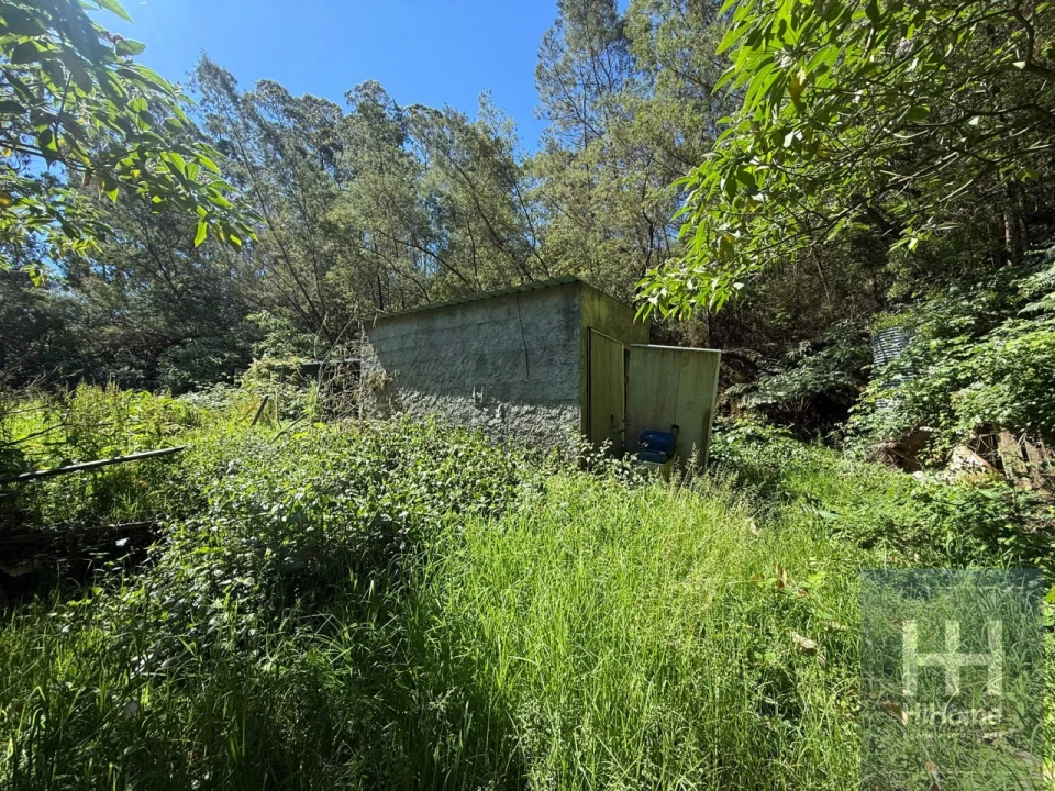 Terreno para Venda em São Jorge Foto 8