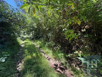 Terreno para Venda em São Jorge