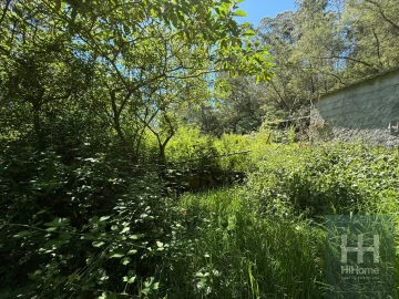 Terreno para Venda em São Jorge