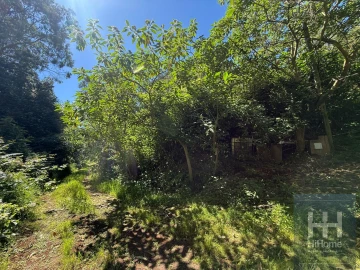 Terreno para Venda em São Jorge