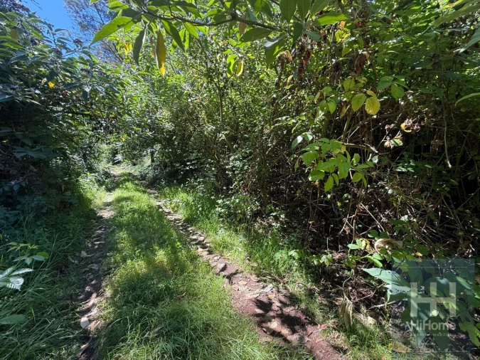 Terreno para Venda em São Jorge Foto 4