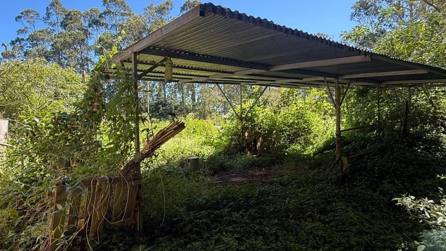 Terreno para Venda em São Jorge