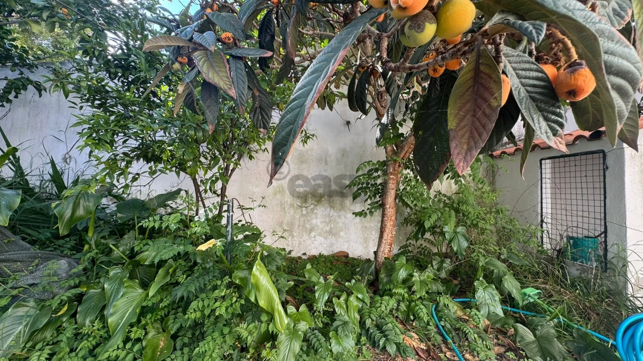 Moradia T2 para Venda em Castro Verde e Casével Foto 20