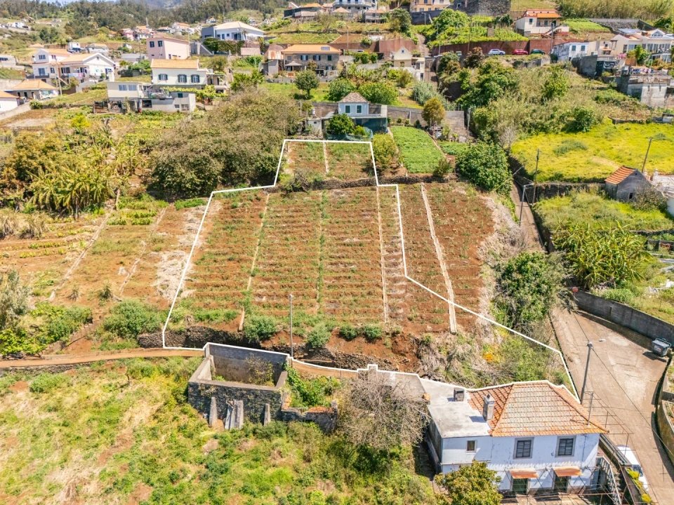 Terreno para Venda em Ponta do Sol Foto 16