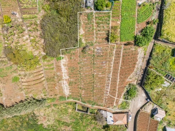 Terreno para Venda em Ponta do Sol