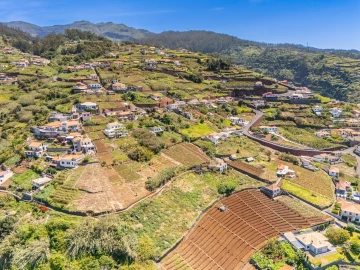Terreno para Venda em Ponta do Sol