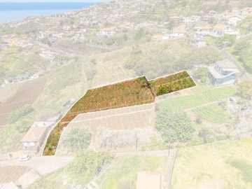Terreno para Venda em Ponta do Sol
