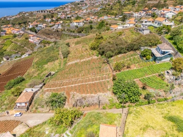 Terreno para Venda em Ponta do Sol